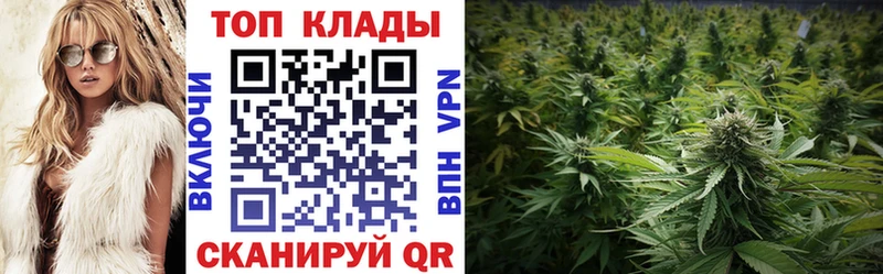 Купить наркотики сайты Сычёвка АМФ  Гашиш  БУТИРАТ  APVP  МАРИХУАНА 