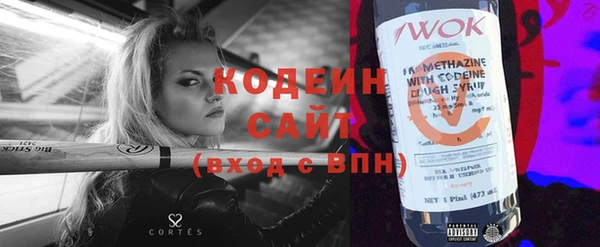 мдпв Осташков