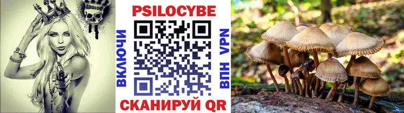 Псилоцибиновые грибы Psilocybine cubensis  Сычёвка 